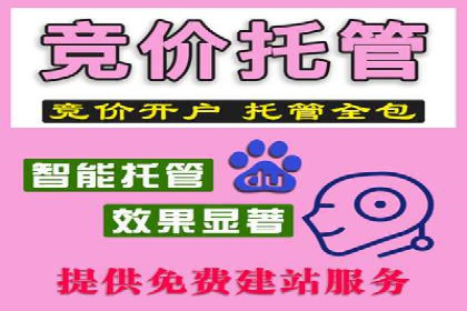 百度推广运营案例精选：助力企业成长